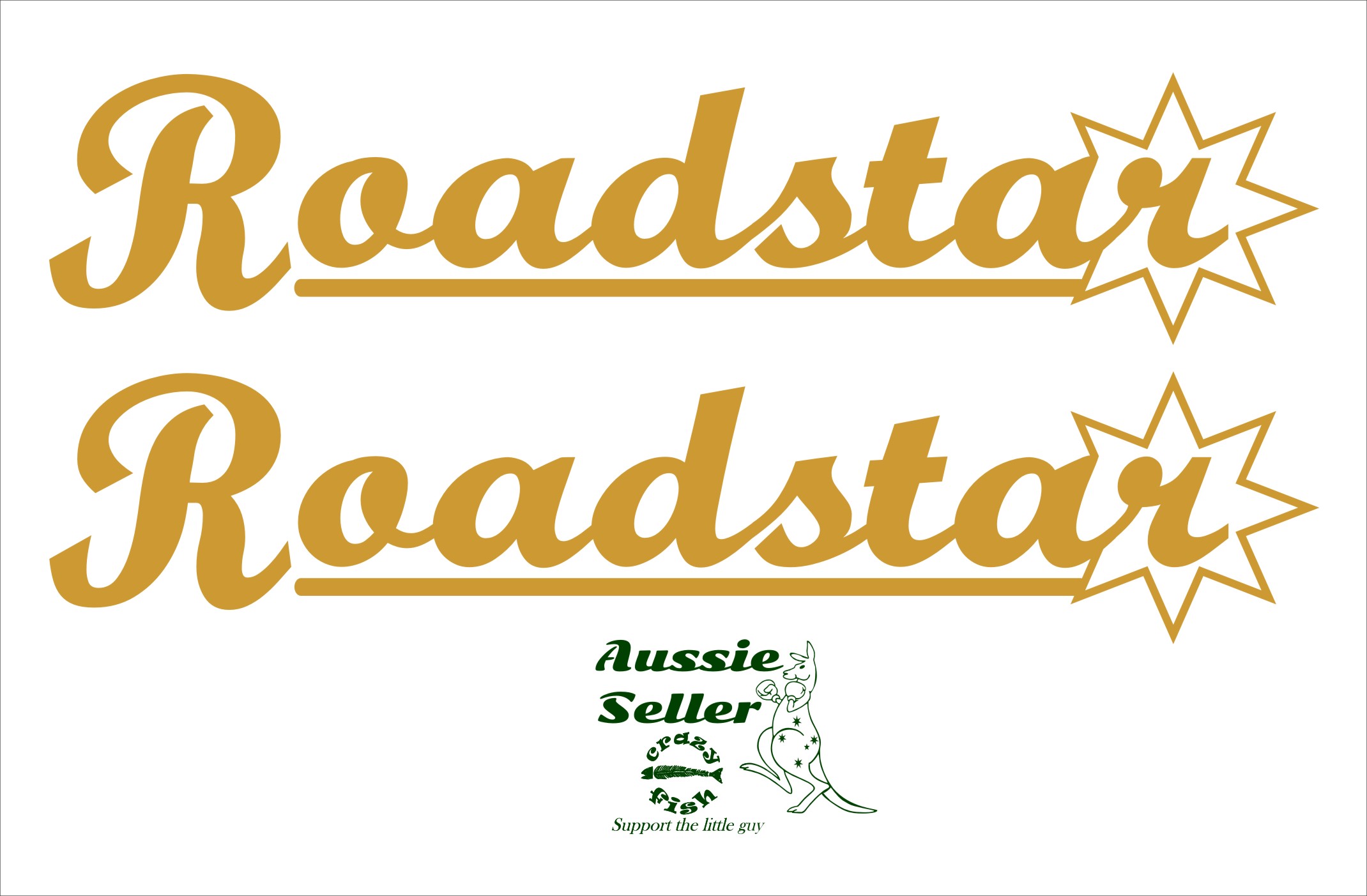 Roadstar Caravan decals TWO (2) 700 x 150 mm each choose your color Crazy Fish